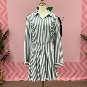 English Factory Blue and White Striped Button-Front Shirt Dress
